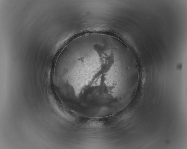 X0000111820491200907301300