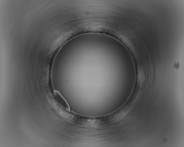 X0000111820493200907301300