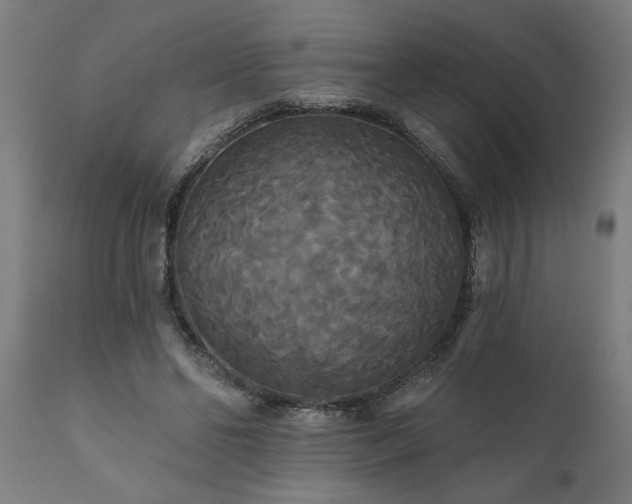 X0000111820494200907301300