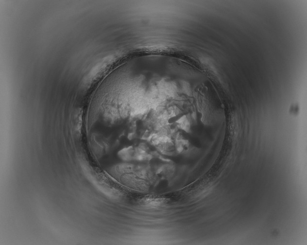 X0000111820495200907301300