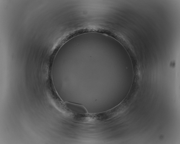 X0000111820496200907301300