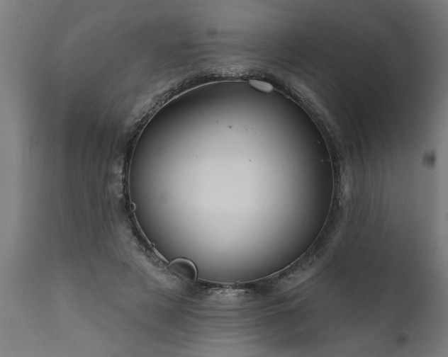 X0000111820497200907301300