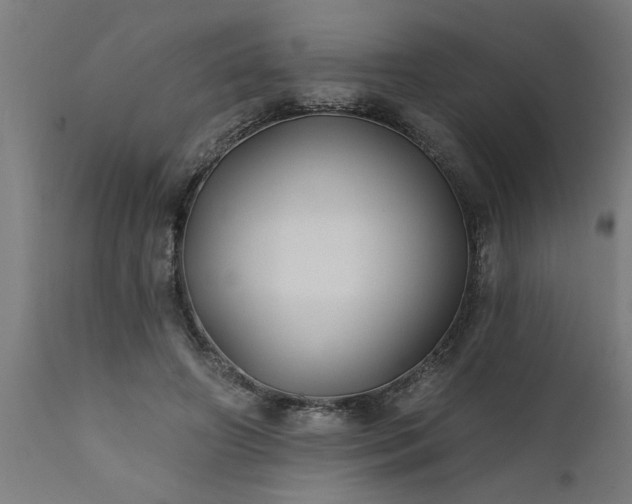 X0000111820498200907301300