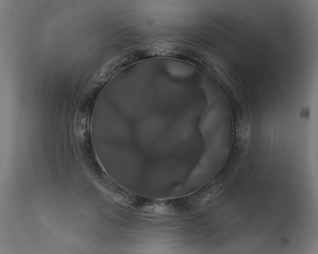 X0000111820503200907301300