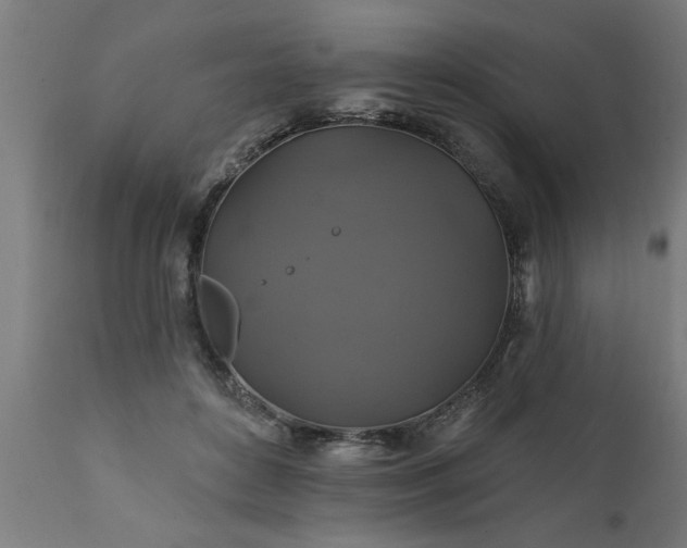 X0000111820504200907301300