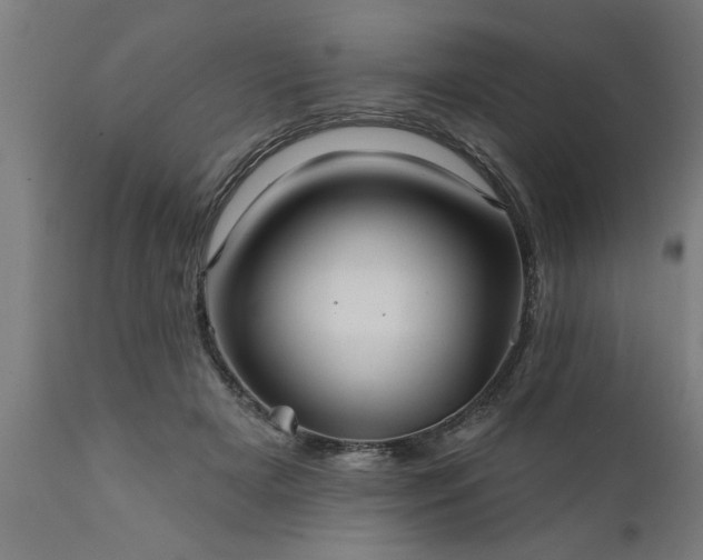 X0000111820505200907301300