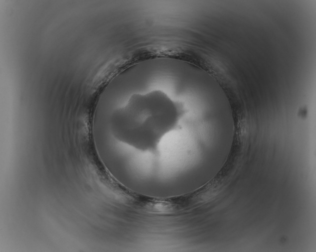 X0000111820506200907301300
