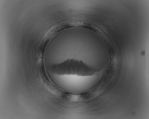 X0000111820507200907301300