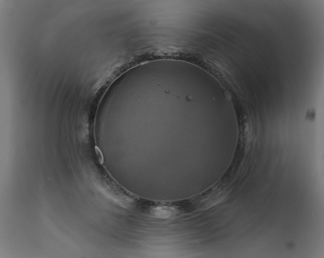 X0000111820508200907301300