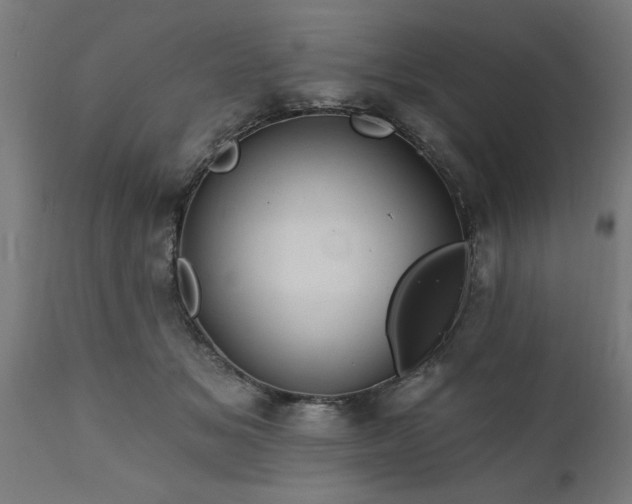 X0000111820509200907301300