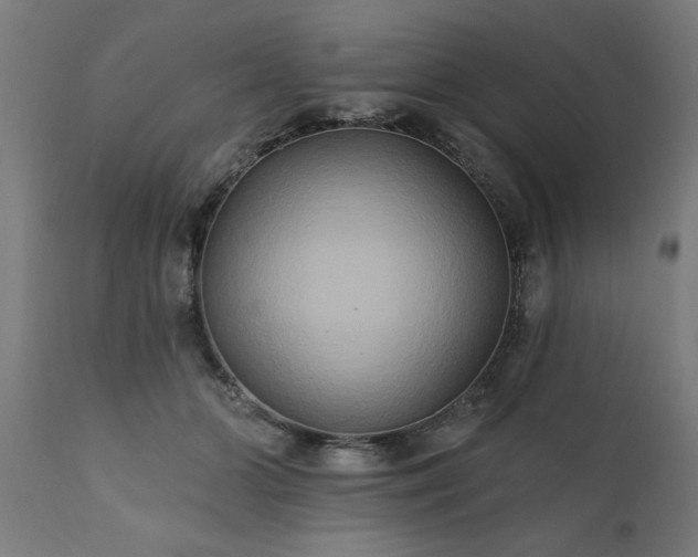 X0000111820510200907301300