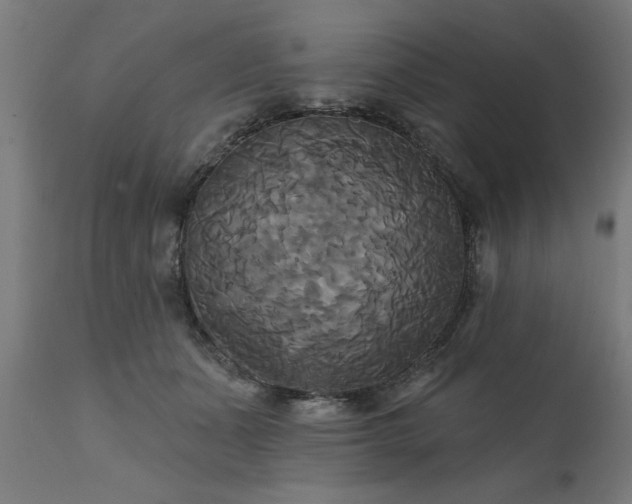 X0000111820511200907301300