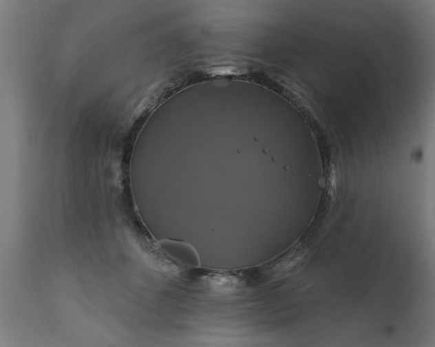 X0000111820512200907301300