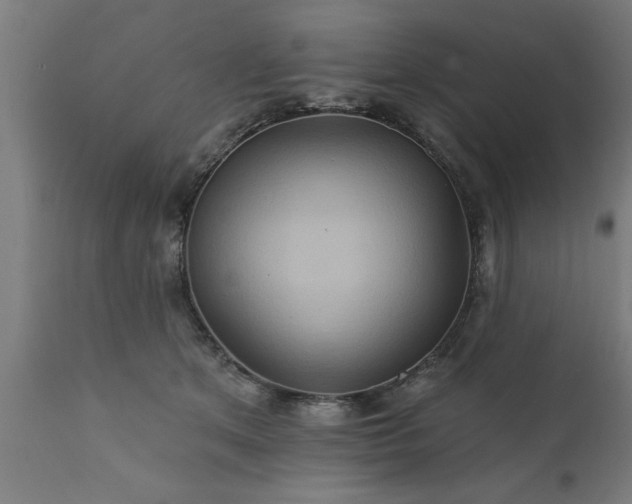 X0000111820513200907301300