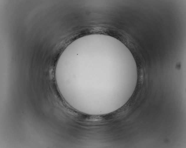 X0000111820514200907301300