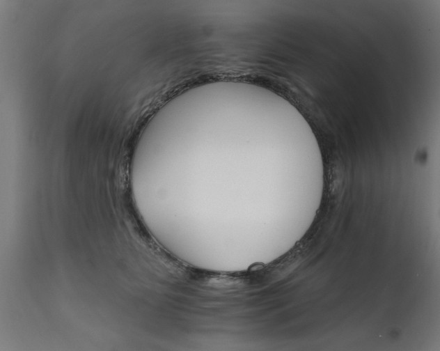 X0000111820515200907301300