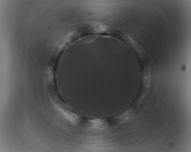 X0000111820516200907301300
