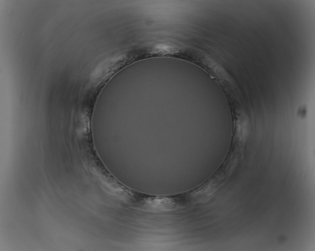 X0000111820517200907301300
