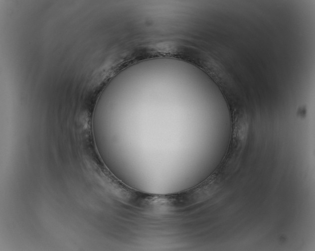 X0000111820518200907301300