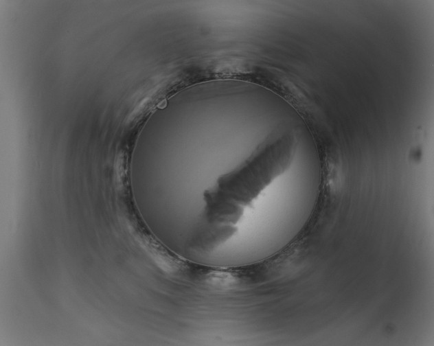 X0000111820519200907301300