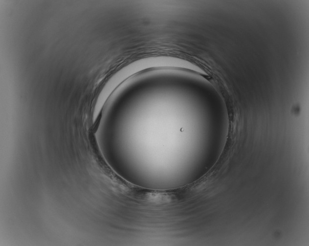 X0000111820520200907301300