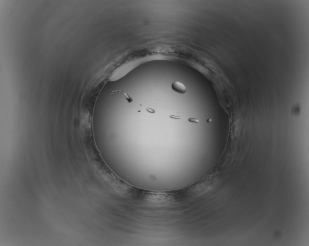 X0000111820521200907301300