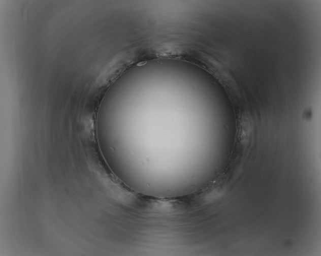 X0000111820523200907301300