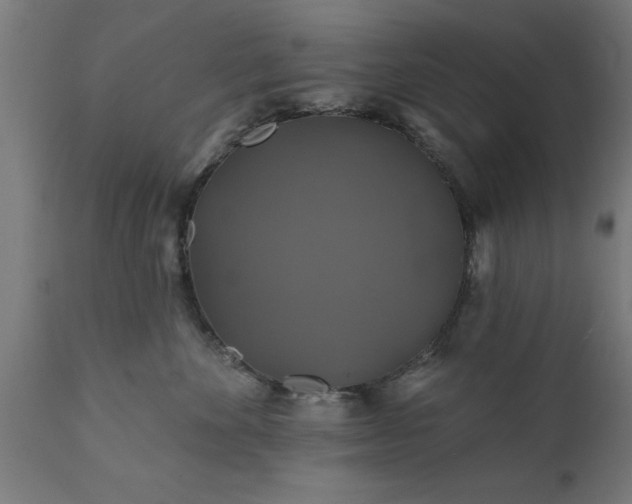 X0000111820524200907301300