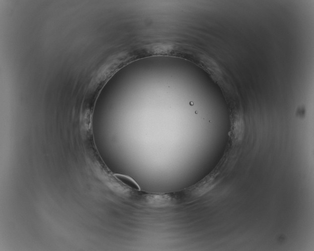 X0000111820525200907301300