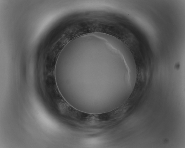 X0000111820526200907301300