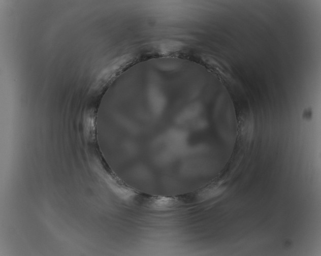 X0000111820527200907301300