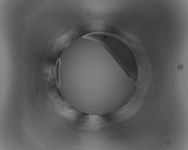 X0000111820528200907301300