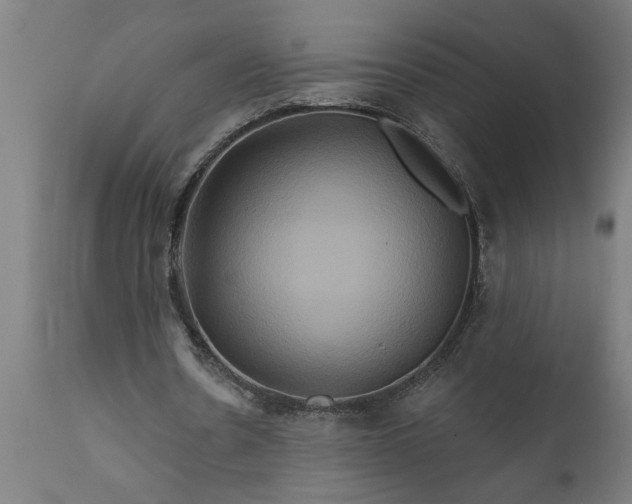X0000111820530200907301259
