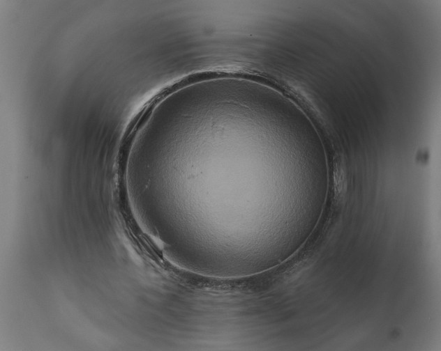 X0000111820532200907301259