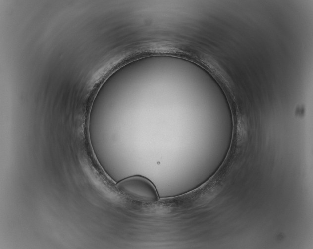 X0000111820533200907301259