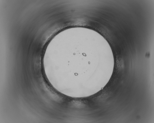 X0000111820534200907301259