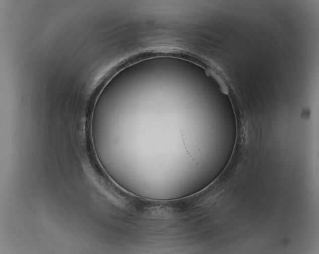 X0000111820535200907301259