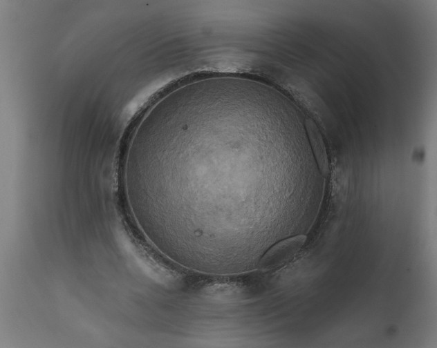 X0000111820536200907301259