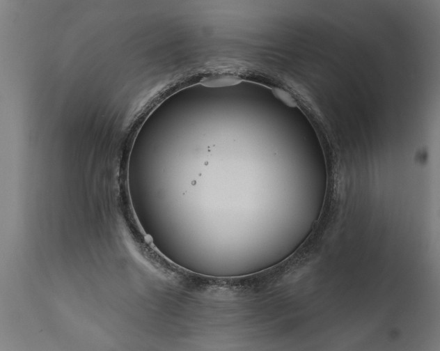 X0000111820538200907301259