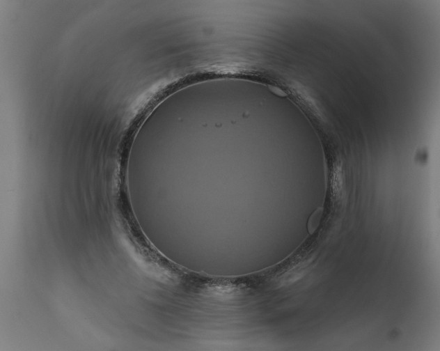 X0000111820540200907301259