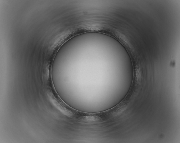 X0000111820541200907301259