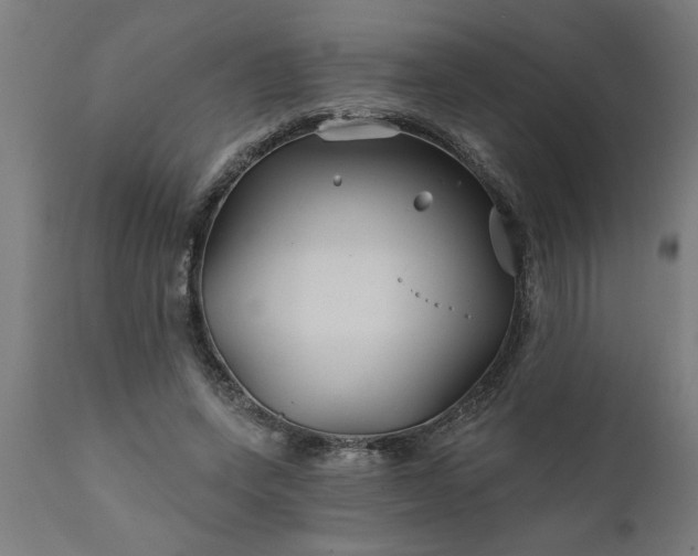 X0000111820543200907301259