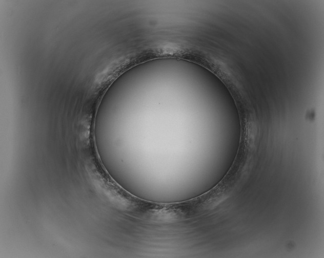 X0000111820545200907301259