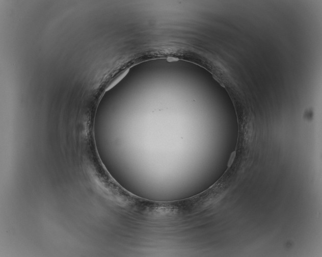 X0000111820546200907301259