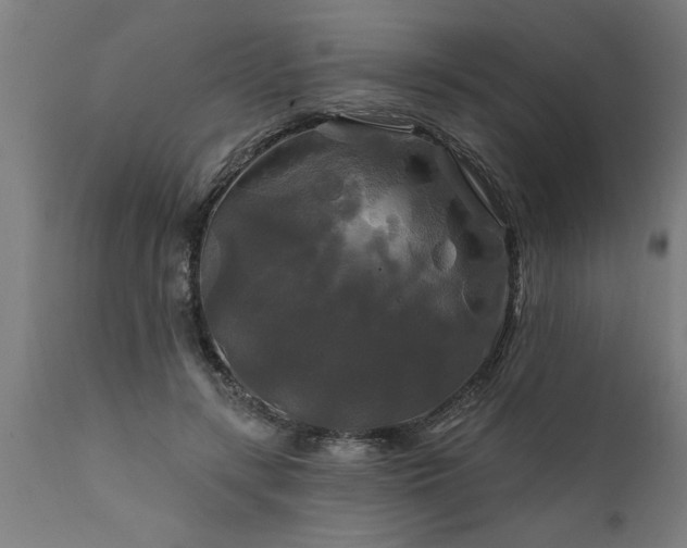 X0000111820547200907301259