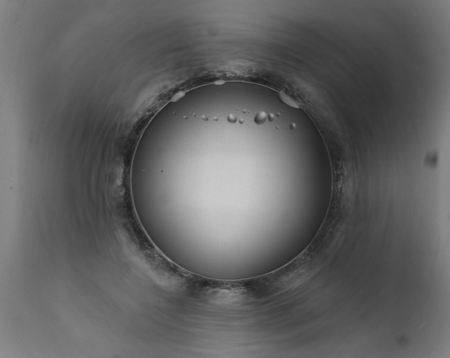 X0000111820548200907301259