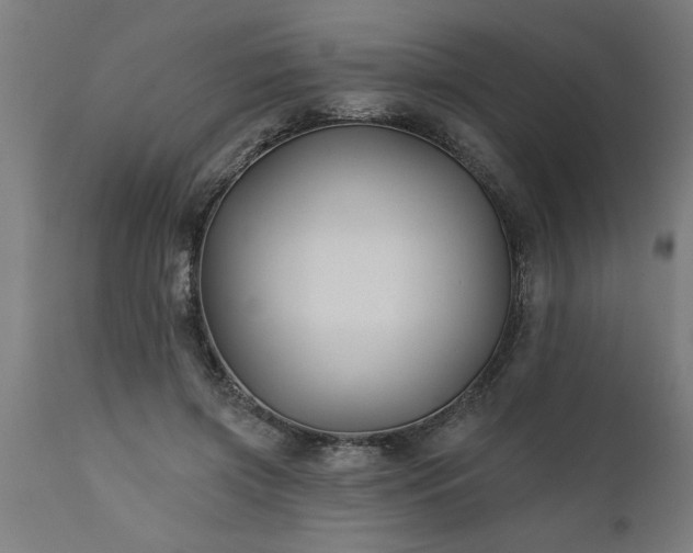 X0000111820549200907301259
