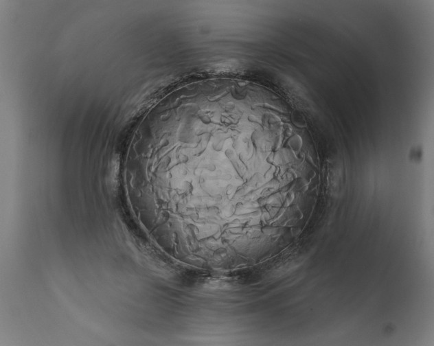 X0000111820550200907301259