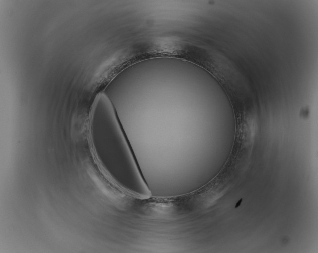 X0000111820552200907301259