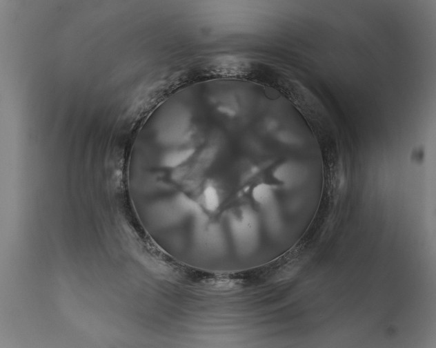 X0000111820553200907301259